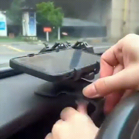 gif1.gif