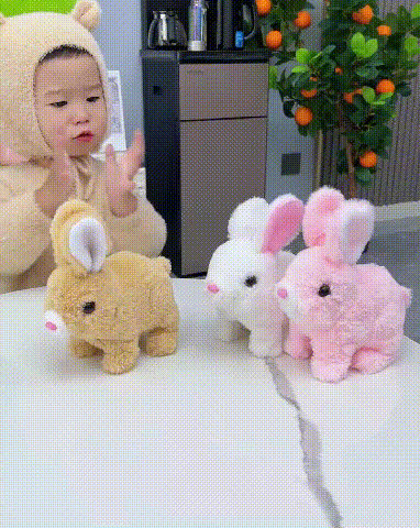 2.gif