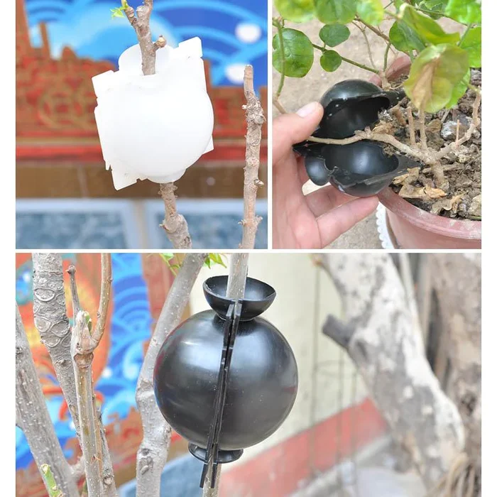 【買20送30】可重複使用的植物生根生長球 易於安裝