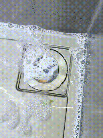 1.GIF