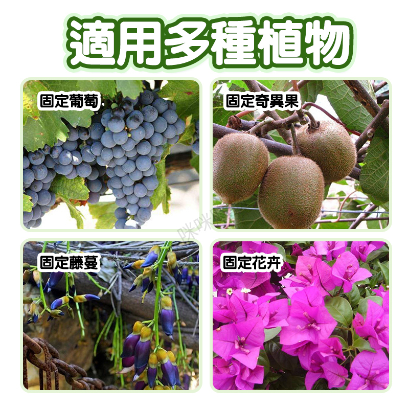 主图-09.jpg