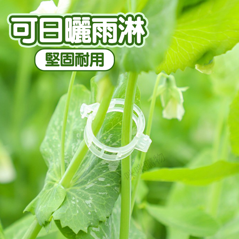 主图-05.jpg