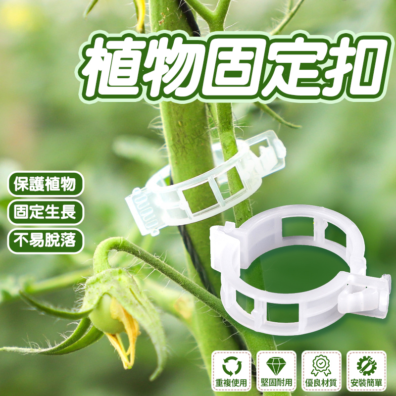 【清倉！1000個】瓜果植物固定夾 蔬菜番茄藤蔓類植物 快速卡扣