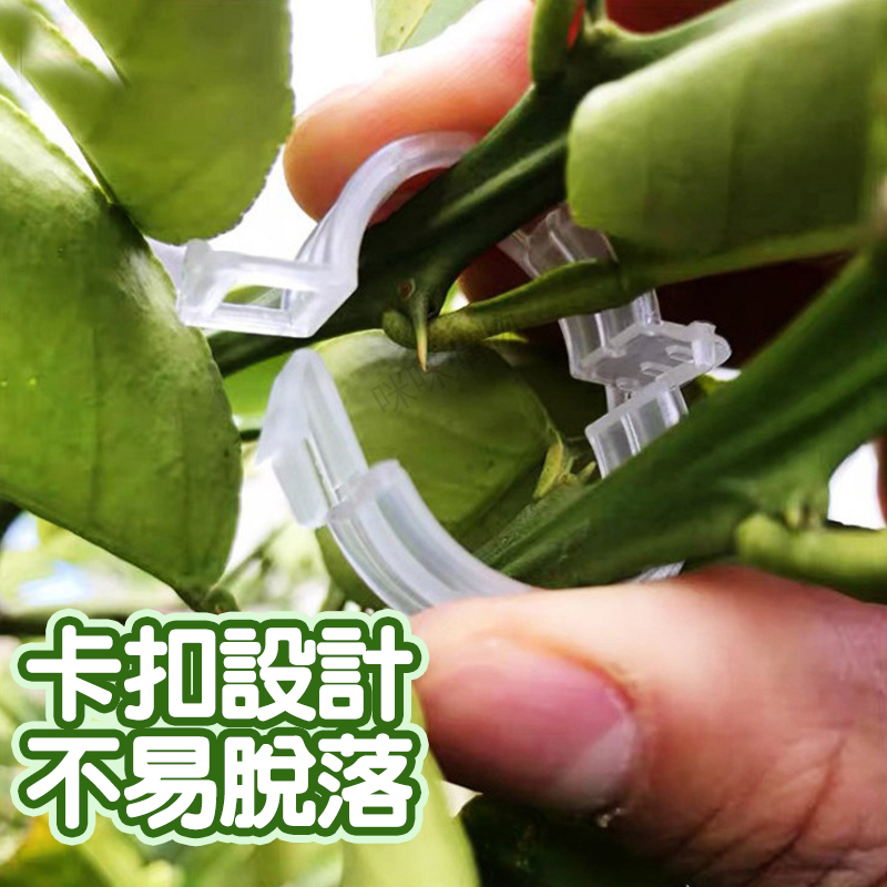 【清倉！1000個】瓜果植物固定夾 蔬菜番茄藤蔓類植物 快速卡扣