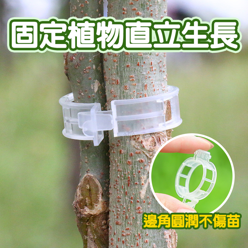 【清倉！1000個】瓜果植物固定夾 蔬菜番茄藤蔓類植物 快速卡扣