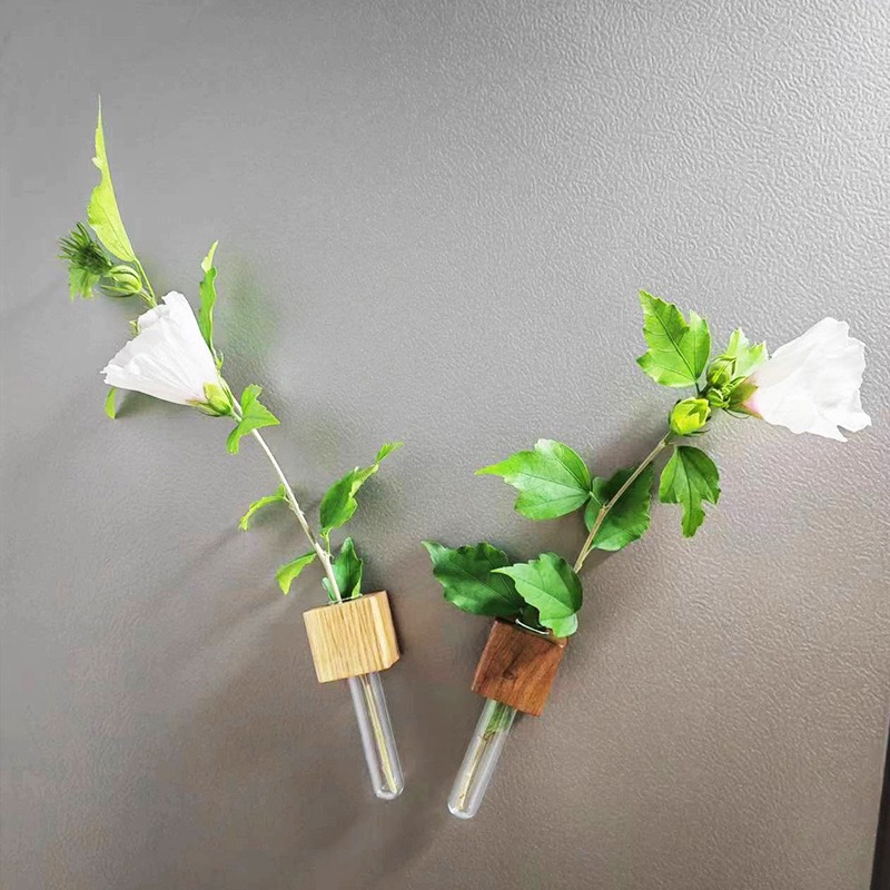 【買八送十】2025INS熱銷強磁無痕實木試管花瓶 冰箱磁貼插花器（500高斯磁吸+DIY香氛乾濕花兩用）家居創意裝飾